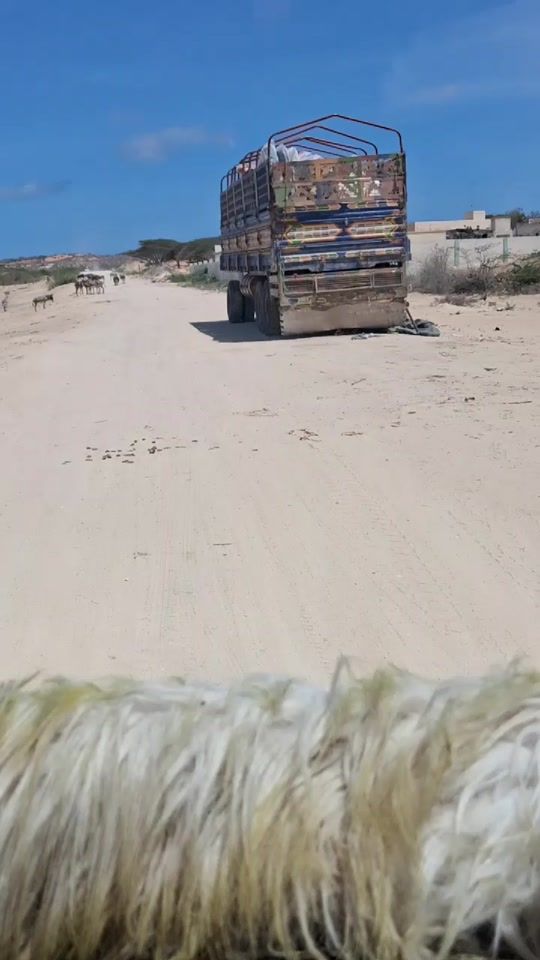 TikTok video thumbnail by ozamexasandalaaf