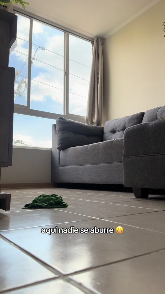 TikTok video thumbnail by bernardoelpug