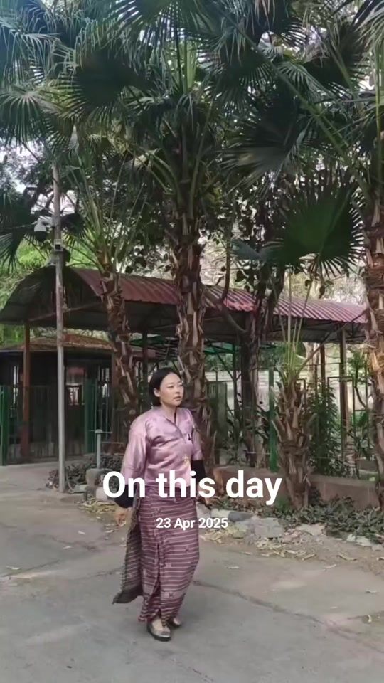 TikTok video thumbnail by dolmapasang1991