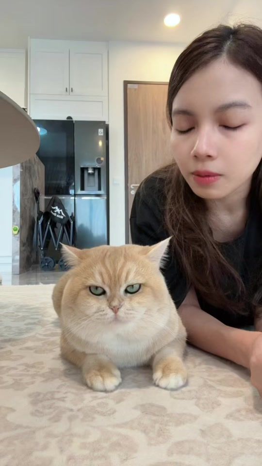 TikTok video thumbnail by two_sided8