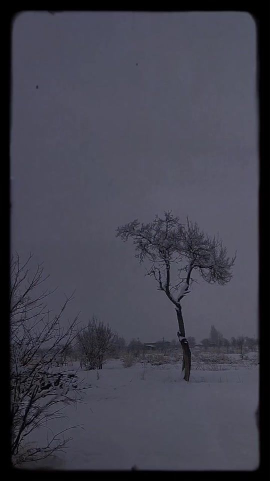 TikTok video thumbnail by elnaz.sh68