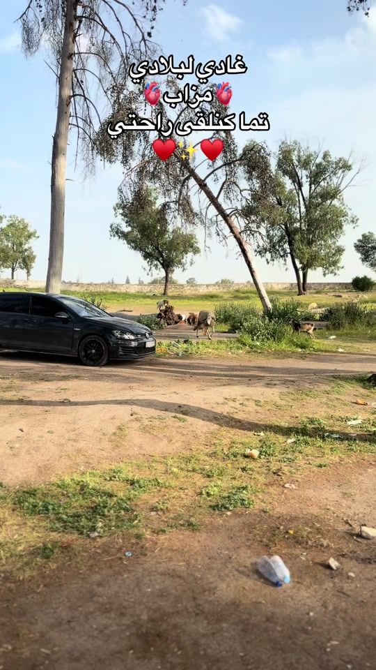 TikTok video thumbnail by lmzabi_amine