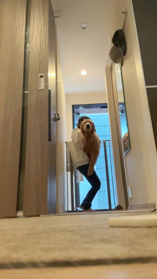 TikTok video thumbnail by koro11.18