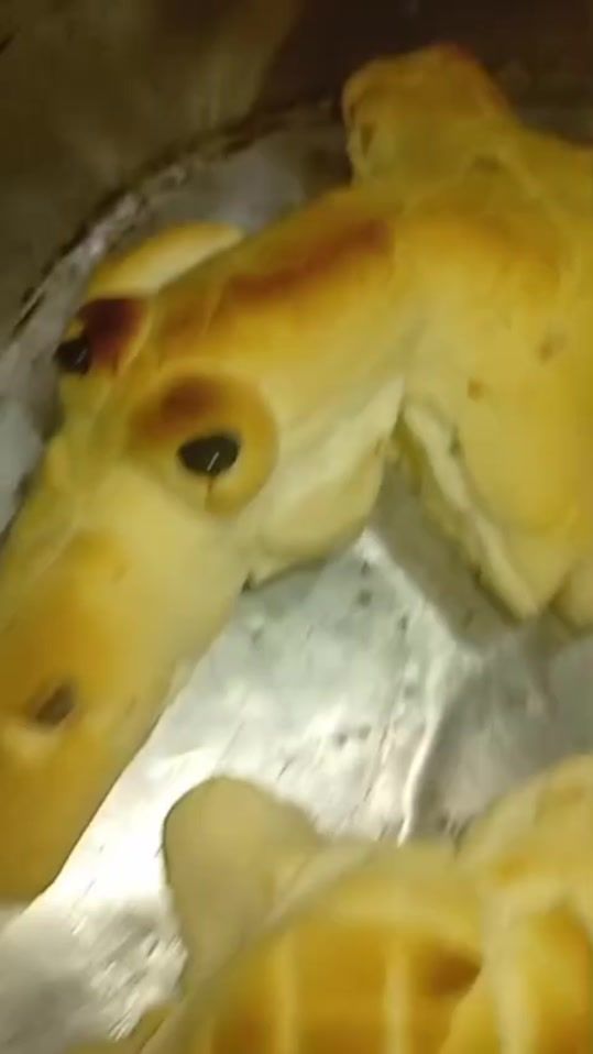TikTok video thumbnail by perlita.gonza