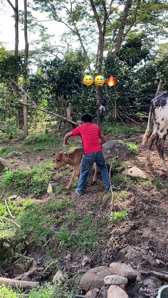 TikTok video thumbnail by davidlopezlopez11