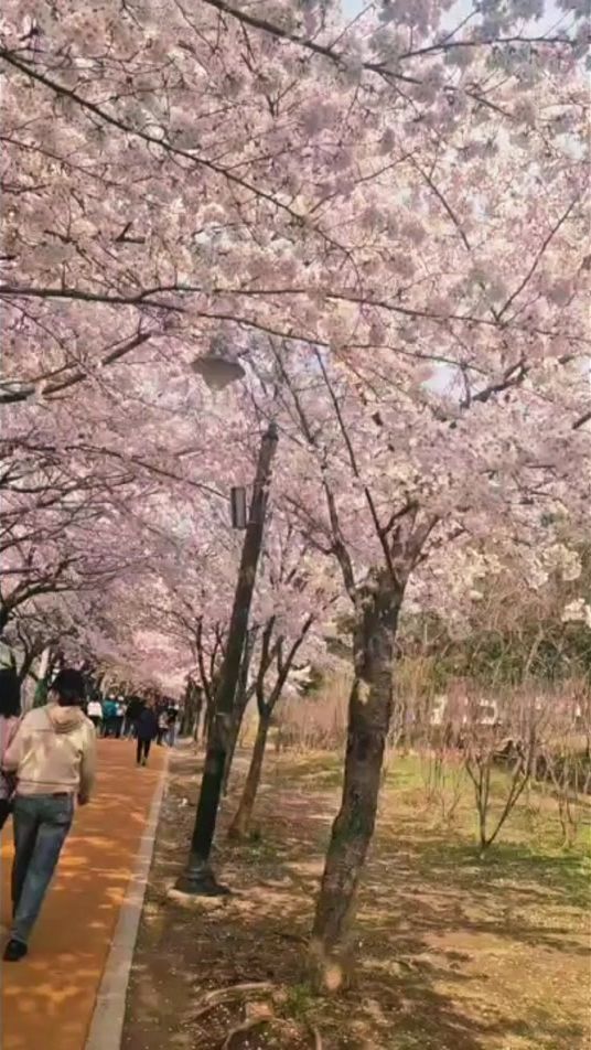 TikTok video thumbnail by s2.jms