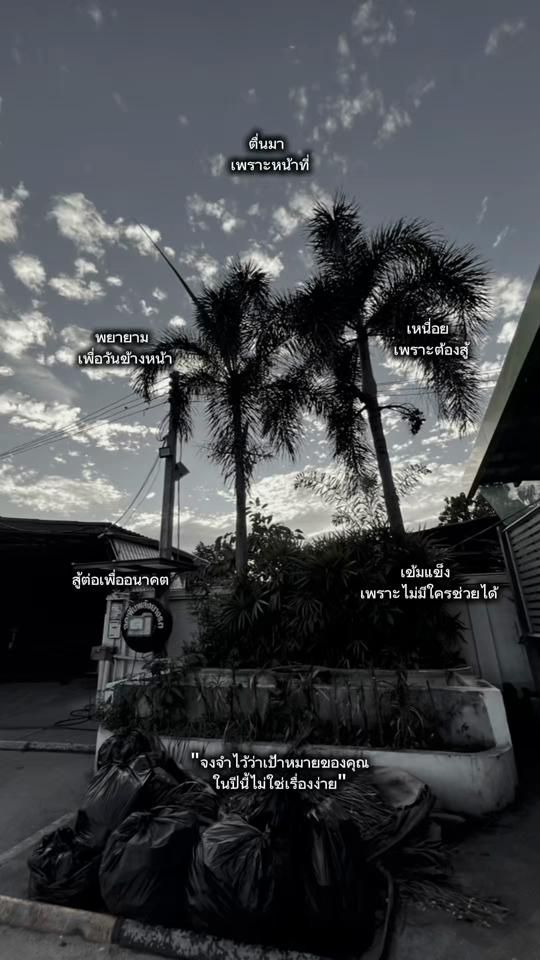 TikTok video thumbnail by take06531