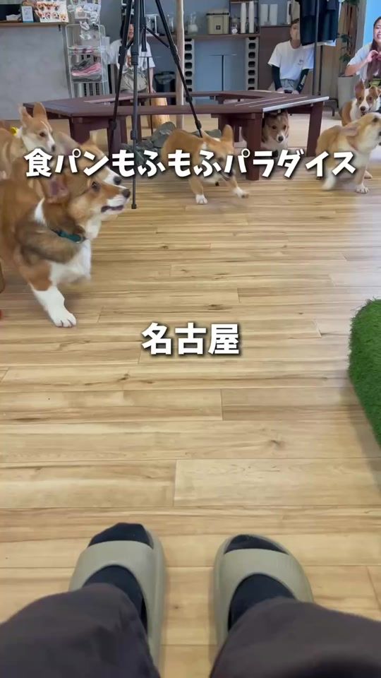 TikTok video thumbnail by senatbi_spot