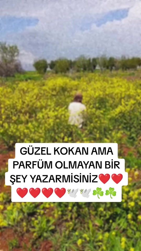 TikTok video thumbnail by meryeminci1