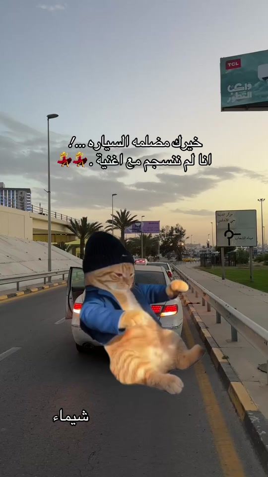 TikTok video thumbnail by shaima_az_