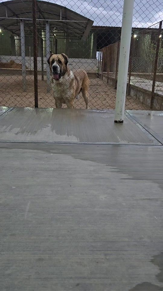 TikTok video thumbnail by patrak47