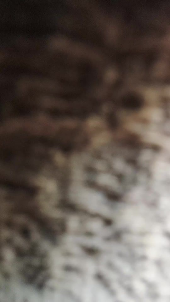TikTok video thumbnail by e.flui