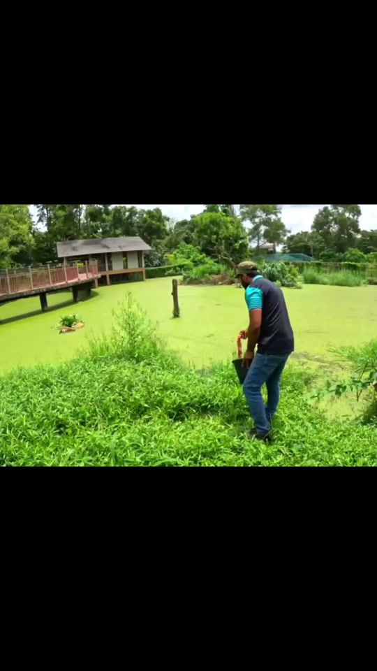TikTok video thumbnail by kavindu.prasath