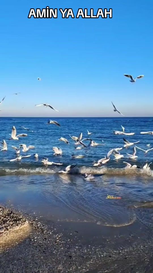 TikTok video thumbnail by hikmtli.szlr53