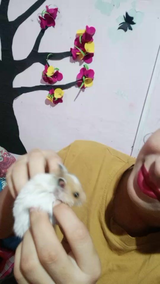 TikTok video thumbnail by b.nandu4