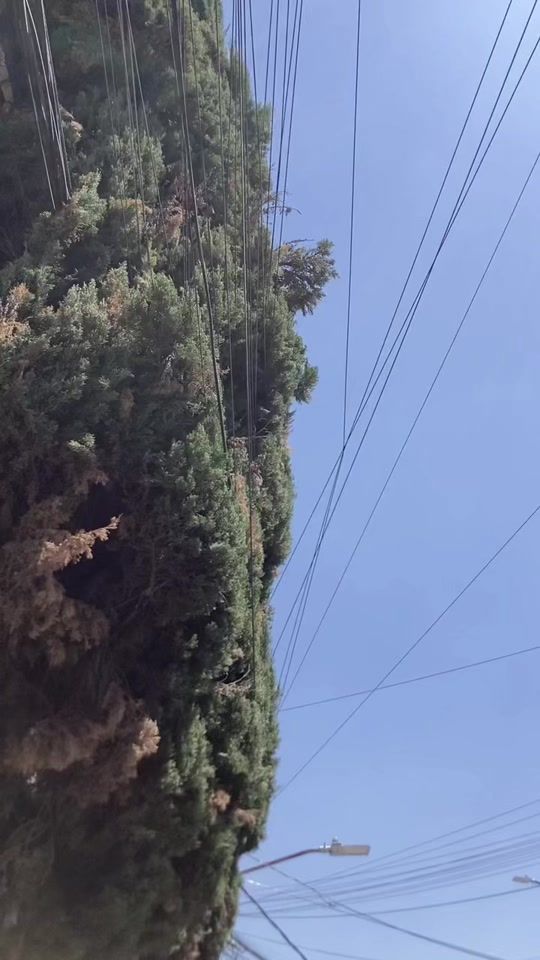 TikTok video thumbnail by flex_258