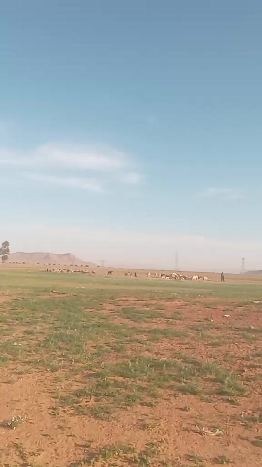 TikTok video thumbnail by .000226