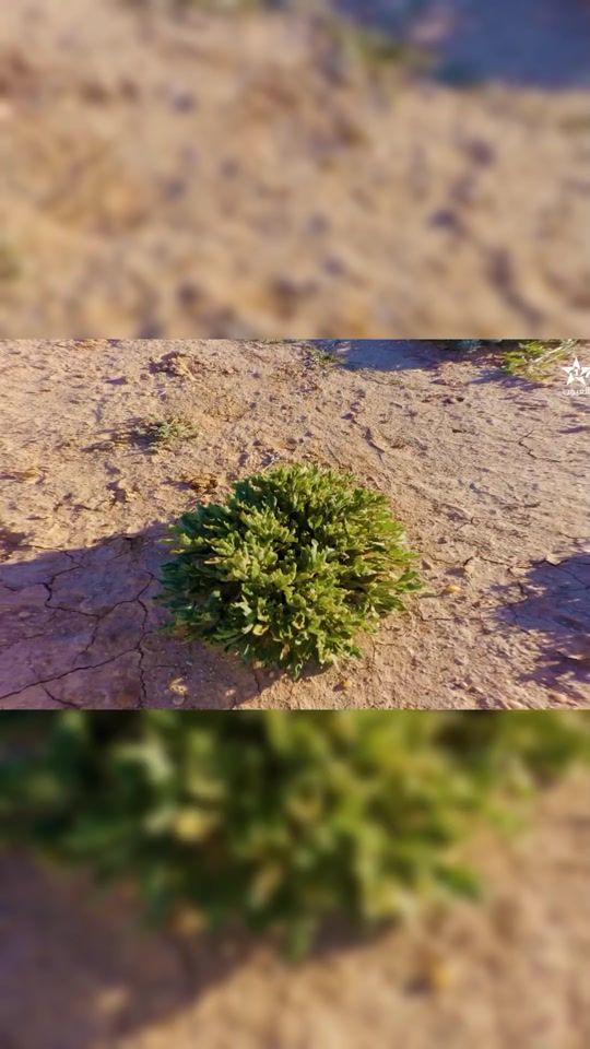 TikTok video thumbnail by 19b.zr