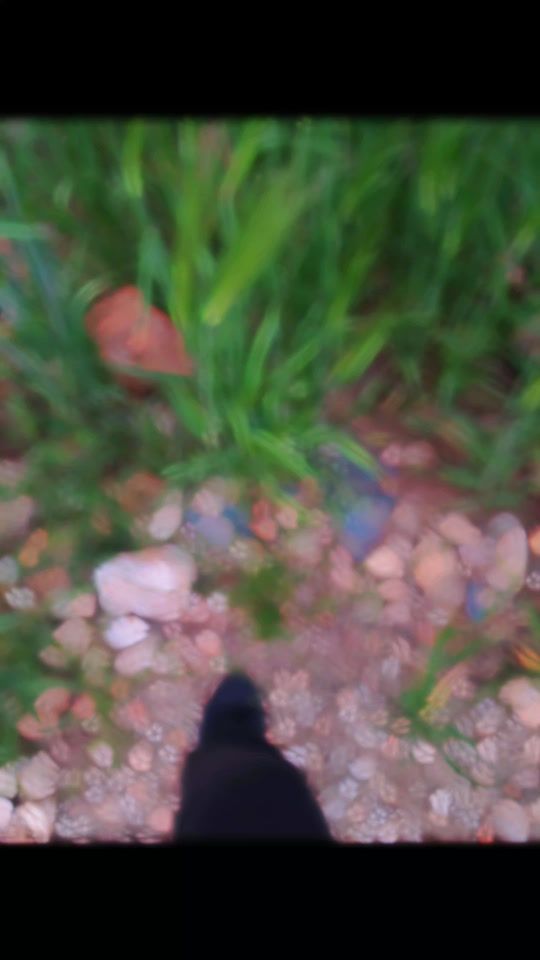 TikTok video thumbnail by 2al.96