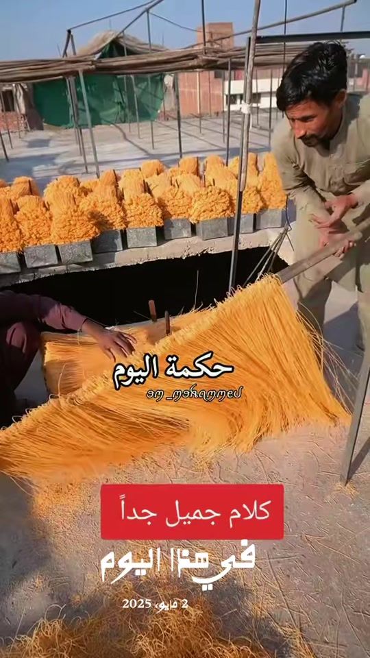 TikTok video thumbnail by nw70