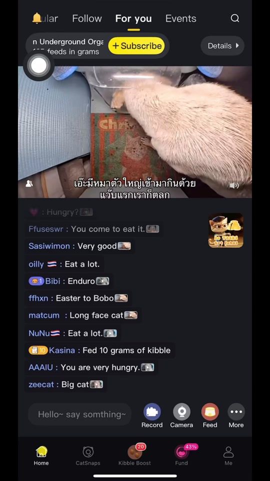 TikTok video thumbnail by ittimnattida