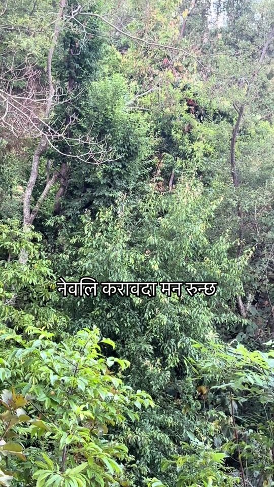 TikTok video thumbnail by hirasingh5656