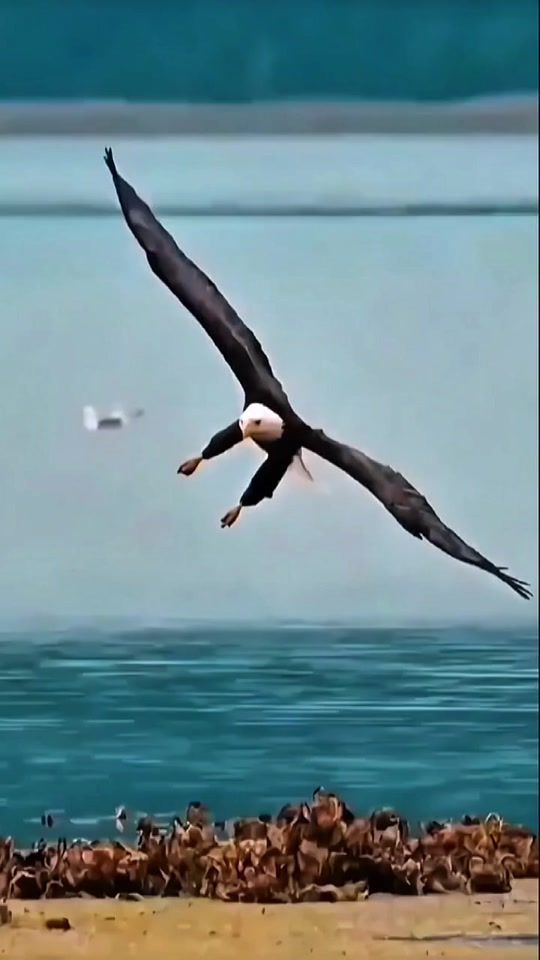 TikTok video thumbnail by m_a_y_y_r