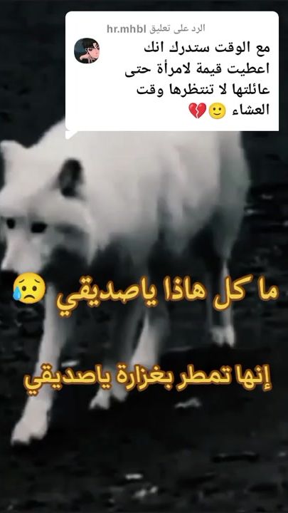 TikTok video thumbnail by golden_wolf55