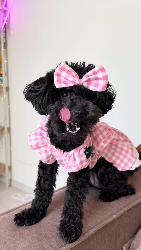 TikTok video thumbnail by _shokalka_