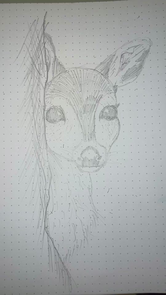 TikTok video thumbnail by pelegamar06