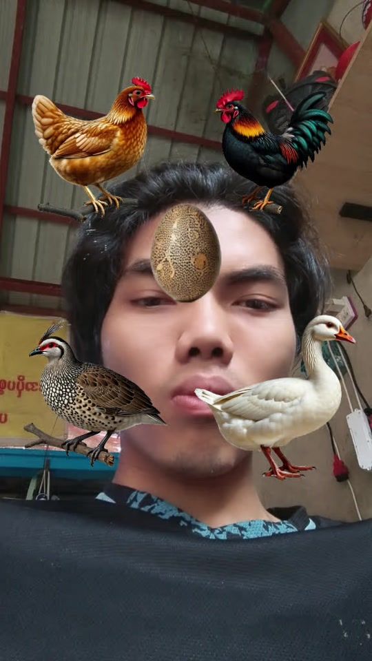TikTok video thumbnail by shwetun307