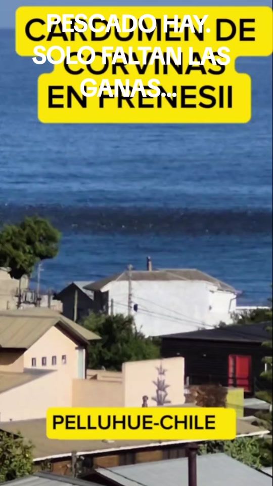 TikTok video thumbnail by salthizrap