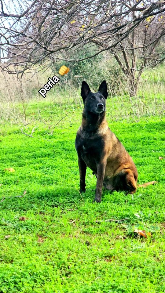 TikTok video thumbnail by etoo_perla_dz