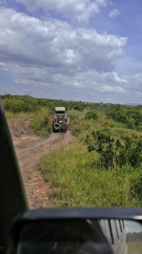 TikTok video thumbnail by african_bush_nomad