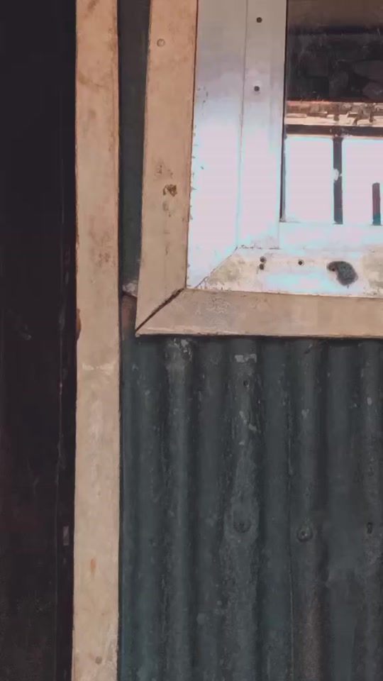 TikTok video thumbnail by biskit500