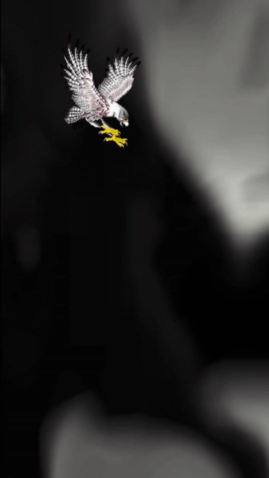 TikTok video thumbnail by abusranew