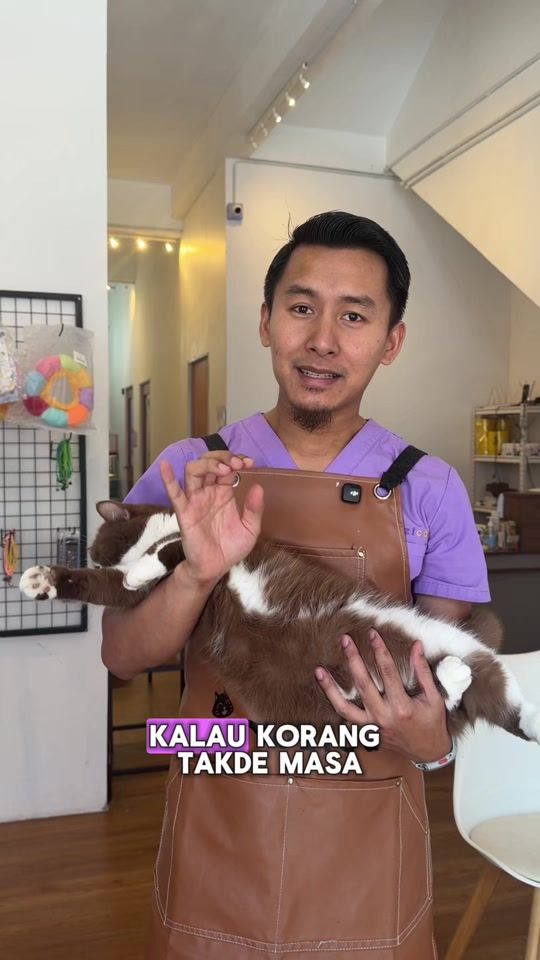 TikTok video thumbnail by mozicat_hq