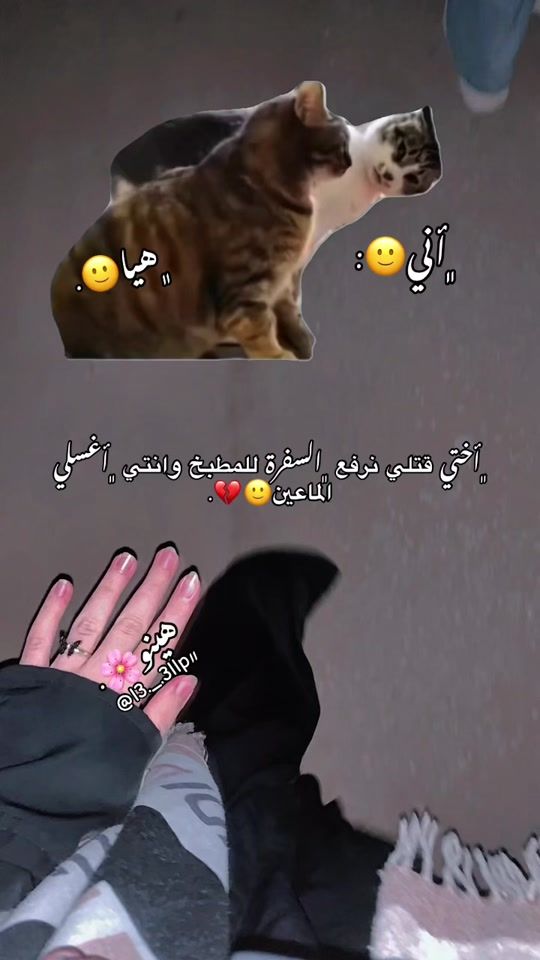 TikTok video thumbnail by l3._.3llp