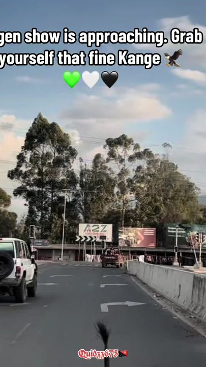 TikTok video thumbnail by quidzz36