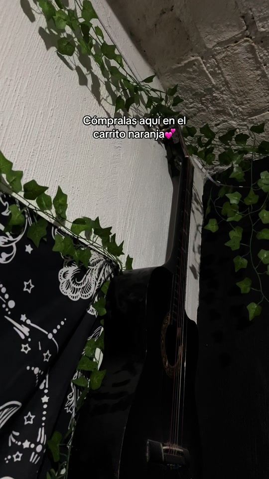 TikTok video thumbnail by erik_ans