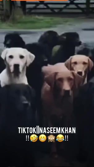 TikTok video thumbnail by nk___215