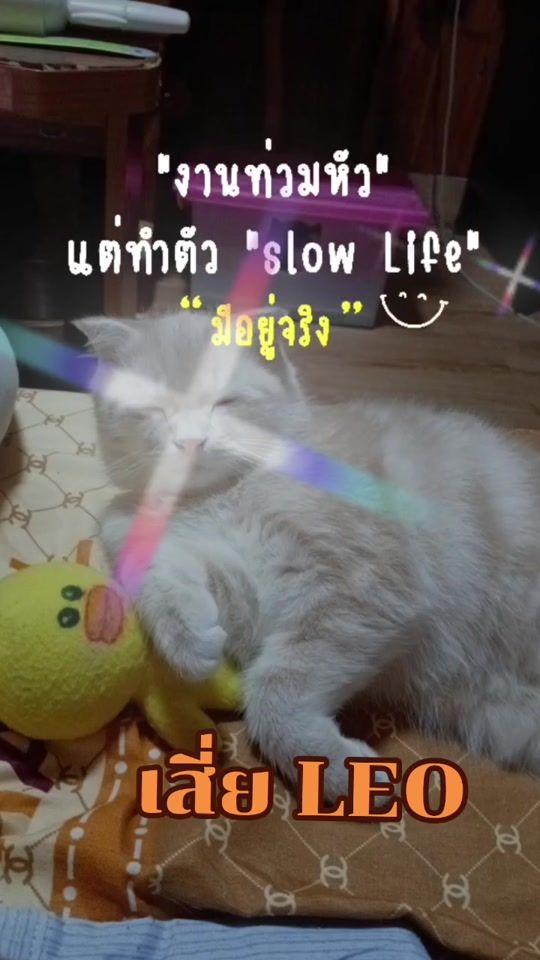 TikTok video thumbnail by tongxa.357