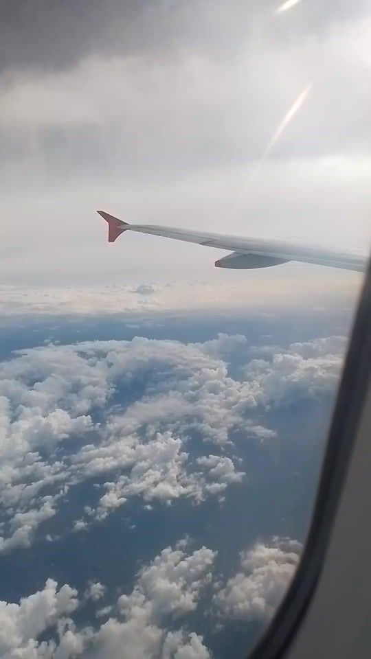TikTok video thumbnail by nelsonroldanh