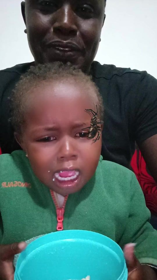 TikTok video thumbnail by option123b