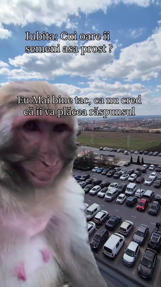 TikTok video thumbnail by v_r29.10