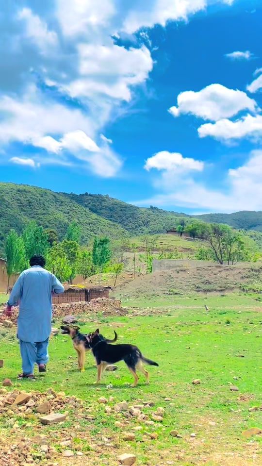 TikTok video thumbnail by hazrat.umar3354
