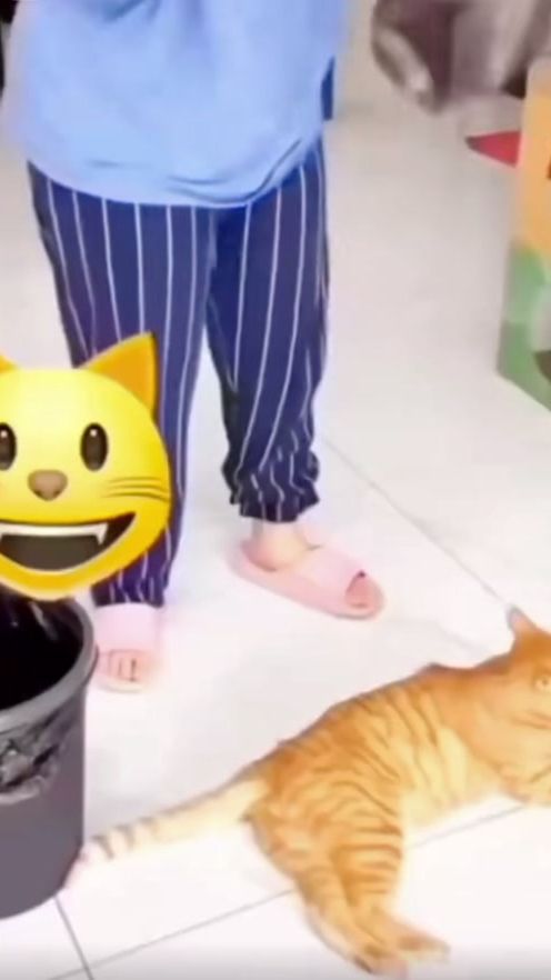 TikTok video thumbnail by abdomola0
