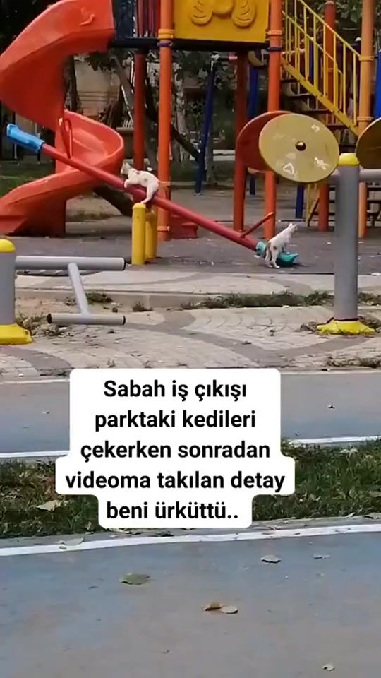 TikTok video thumbnail by alidiro19