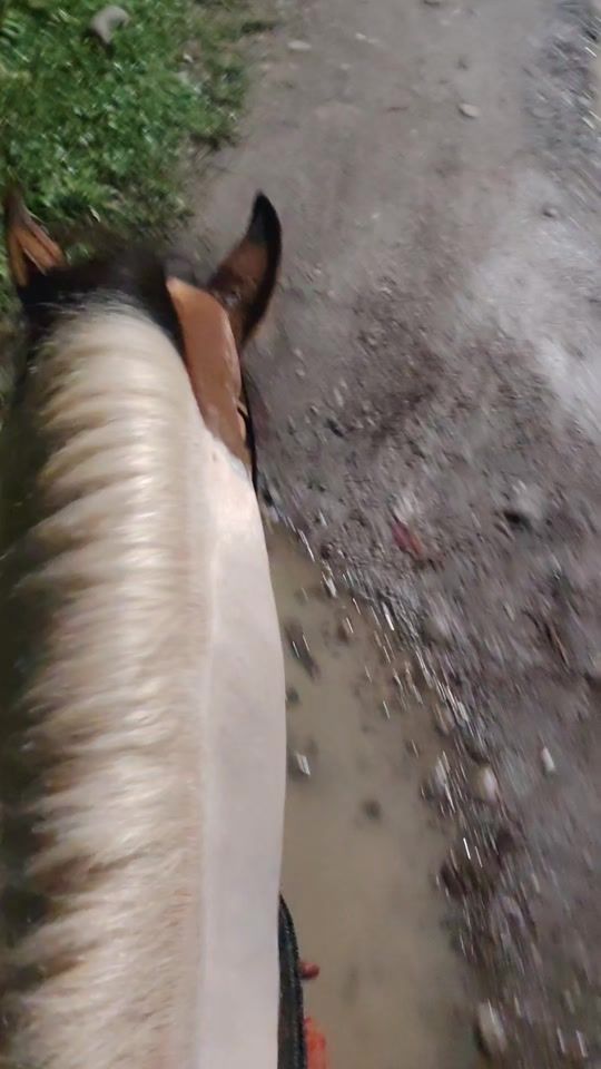 TikTok video thumbnail by hectorsosa65