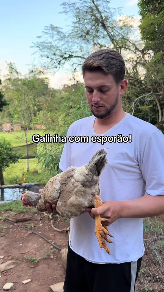 TikTok video thumbnail by alexandro.morais